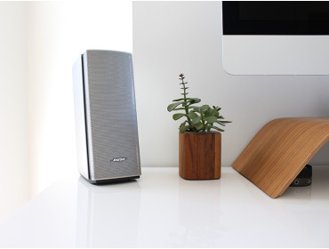 Commodo laoreet semper tincidun